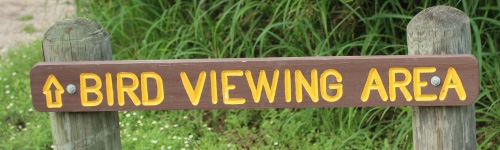 Bird Viewing Area