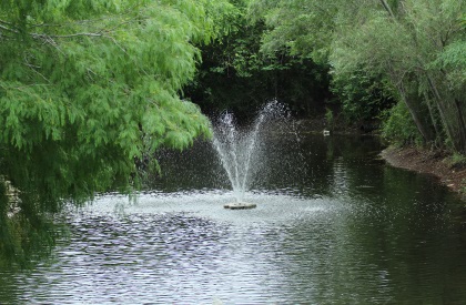 Hidalgo Pumphouse Pond