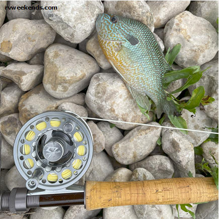 Fly Fishing